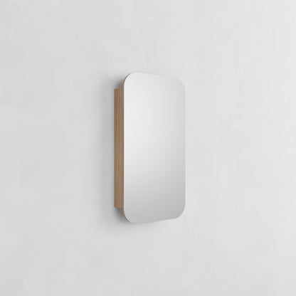 Hudson Cabinet Mirror | 500 Wide