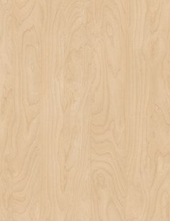 Little Luna Mirror | 500 wide
